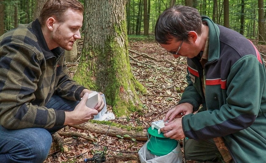 Fraunhofer entwickelt automatisierte Pheromonfallen für Waldschädlingsmotten